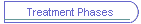 Treatment Phases
