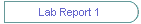 Lab Report 1