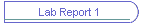 Lab Report 1